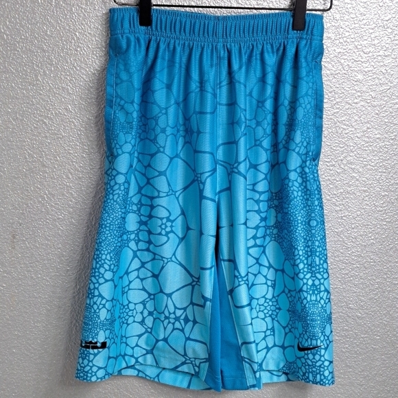 Vintage Nike LeBron James Witness Dri Fit Youth Basketball Shorts    Size L - Picture 1 of 12